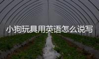 小狗玩具用英語怎么說寫(我的小狗用英語怎么說)