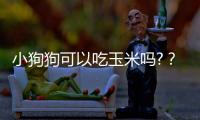 小狗狗可以吃玉米嗎?？狗子可以吃玉米么