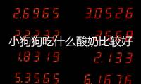 小狗狗吃什么酸奶比較好？狗狗吃什么酸奶比較好