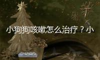 小狗狗咳嗽怎么治療？小狗狗咳嗽怎么治最有效