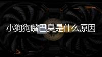 小狗狗嘴巴臭是什么原因(倉(cāng)鼠嘴巴旁邊紅紅的)