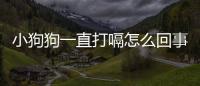 小狗狗一直打嗝怎么回事(小狗狗吃東西打嗝怎么回事)