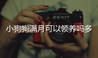 小狗狗滿月可以領養嗎多少錢？小狗狗滿月可以領養嗎現在