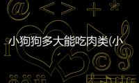 小狗狗多大能吃肉類(小狗狗多大驅(qū)蟲最好)
