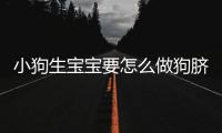小狗生寶寶要怎么做狗臍帶怎么處理？狗狗生寶寶要準備什么?