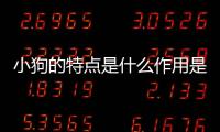 小狗的特點(diǎn)是什么作用是什么？小狗的特點(diǎn)是啥