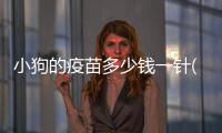 小狗的疫苗多少錢一針(小狗疫苗多少錢一針狗打嗎)