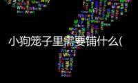 小狗籠子里需要鋪什么(小狗籠子要墊什么)