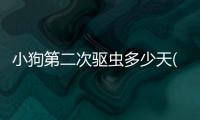 小狗第二次驅蟲多少天(小狗怎么體內驅蟲)