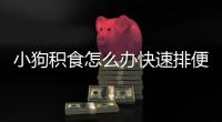小狗積食怎么辦快速排便？小狗積食吃什么藥