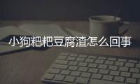 小狗粑粑豆腐渣怎么回事？狗狗便便像豆腐渣