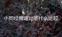 小狗經常嘔吐吃什么比較好呢？小狗一直嘔吐食物