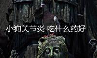 小狗關節炎 吃什么藥好得快？狗狗關節炎吃什么藥好