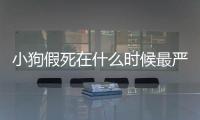 小狗假死在什么時候最嚴重？小狗假死狀態(tài)多久能救活