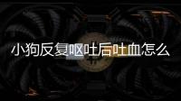 小狗反復嘔吐后吐血怎么回事？狗狗一直嘔吐后來吐血