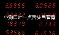小狗口吐一點舌頭弓著背怎么回事(狗吐舌頭了還有救嗎)