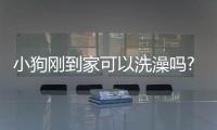 小狗剛到家可以洗澡嗎?(小狗剛到家多久可以洗澡)