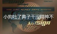 小狗吐了鼻子干沒精神不振怎么回事(小狗吐了鼻子干沒精神不振怎么辦)