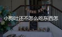 小狗吐還不怎么吃東西怎么辦啊