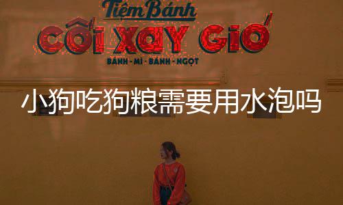 小狗吃狗糧需要用水泡嗎?(小狗不吃狗糧)