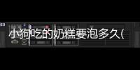 小狗吃的奶糕要泡多久(小狗多久可以吃奶糕)