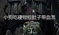 小狗吃硬物拉肚子帶血怎么回事？小狗吃硬物拉肚子帶血怎么辦
