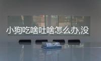 小狗吃啥吐啥怎么辦,沒精神(小狗吃啥吐啥怎么辦)