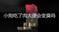 小狗吃了肉大便會變臭嗎為什么(小狗吃了肉大便會變臭嗎怎么回事)