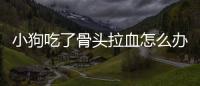 小狗吃了骨頭拉血怎么辦(小狗吃骨頭嘔吐是什么原因)