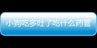 小狗吃多吐了吃什么藥管用呢？小狗吃多了嘔吐吃什么藥