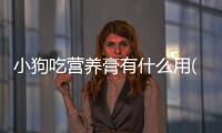 小狗吃營養膏有什么用(小狗病了吃點什么增加營養)