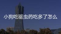 小狗吃驅(qū)蟲藥吃多了怎么辦(小狗吃完驅(qū)蟲藥拉血)