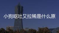小狗嘔吐又拉稀是什么原因？小狗嘔吐又拉稀可以喂葡萄糖嗎