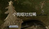 小狗嘔吐拉稀