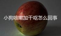 小狗咳嗽加干嘔怎么回事？小狗咳嗽加干嘔怎么辦