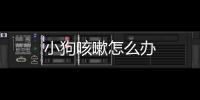小狗咳嗽怎么辦