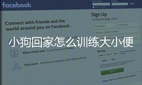 小狗回家怎么訓練大小便(小狗回家一直抖)