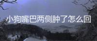 小狗嘴巴兩側腫了怎么回事？狗嘴巴兩邊腫了怎么回事
