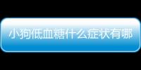 小狗低血糖什么癥狀有哪些(嬰兒低血糖有什么癥狀)
