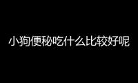 小狗便秘吃什么比較好呢？小狗便秘吃什么比較好消化