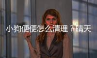 小狗便便怎么清理？晴天小狗怎么給狗狗刷級?