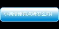 小狗便便有點稀怎么辦(小狗便便硬干怎么回事)