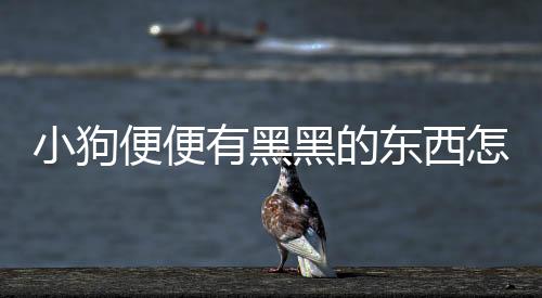 小狗便便有黑黑的東西怎么回事？小狗便便黑色怎么回事