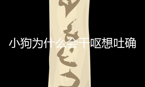 小狗為什么會干嘔想吐確吐不出來(小狗為什么一直干嘔)