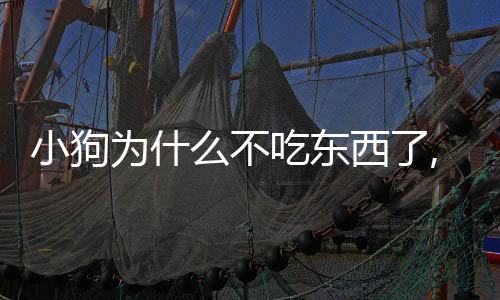小狗為什么不吃東西了,還吐白沫怎么辦？小狗為什么不吃飯了?