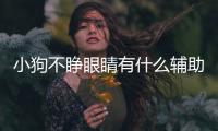 小狗不睜眼睛有什么輔助方法嗎？狗狗不睜開眼睛