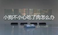 小狗不小心吃了肉怎么辦？小狗不小心吃了肉會(huì)怎么樣