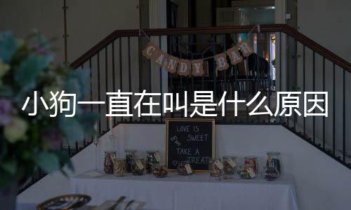 小狗一直在叫是什么原因(肚子一直在叫是什么原因造成的)