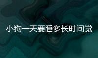 小狗一天要睡多長時間覺(小狗一天喂幾次狗糧)