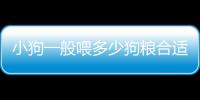 小狗一般喂多少狗糧合適(小狗每天喂多少狗糧)
